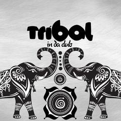 AMAZONAS (THE COLORS OF LOVE)(Extended Mix)