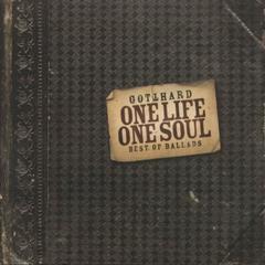 One Life， One Soul