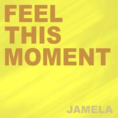 Feel This Moment(Acapella Vocal Mix)