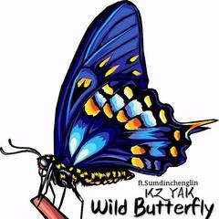 wild Butterfly