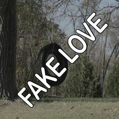 Fake Love - Tribute to Drake