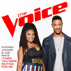 I Knew You Were Waiting(For Me)(The Voice Performance)