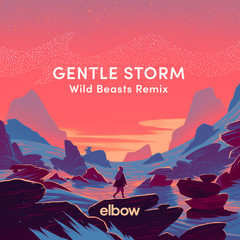 Gentle Storm(Wild Beasts Remix)