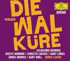 Wagner: Die Walküre - Erster Tag des Bühnenfestspiels ”Der Ring des Nibelungen” / Zweiter Aufzug - Vorspiel ”Nun zume dein Ro”