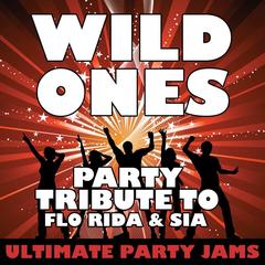 Wild Ones (Party Tribute to Flo Rida & Sia)