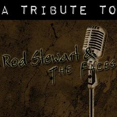 Maggie May - (Tribute to Rod Stewart)