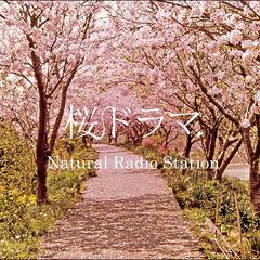 SAKURA DRAMA