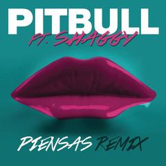 Piensas (Dile la Verdad)(Remix)