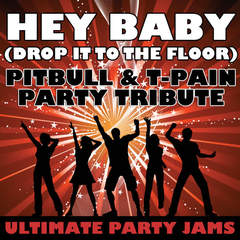 Hey Baby(Drop It To The Floor)(Pitbull & T-Pain Party Tribute)