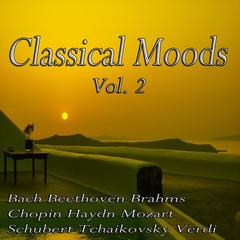 String Quartet in C Major No. 3 Op. 76: II. Poco adagio: cantabile