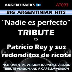 Nadie Es Perfecto(Tribute Version)