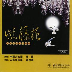 《冬》第三十九曲：子君的咏叹调《不幸的人生》