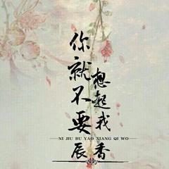 无与伦比的美丽