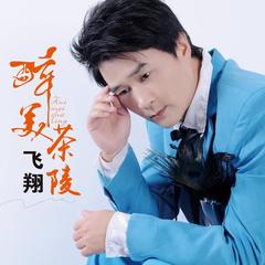 醉美茶陵 (伴奏)