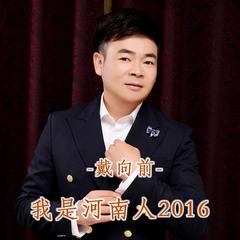 我是河南人2016