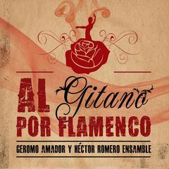 Como lo hice yo (version flamenco)