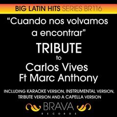 Cuando Nos Volvamos a Encontrar In The Style Of Carlos Vives And Marc Anthony(Tribute Version)