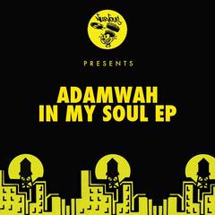 In My Soul(Original Mix)