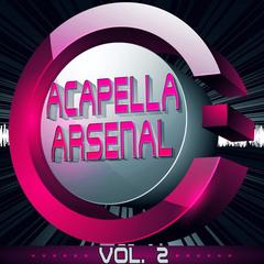 Back in Black(Acapella DJ Tool)