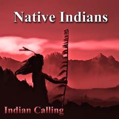 Return to Innocence(Native American Music)