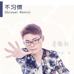 不习惯(Djrowei Remix)