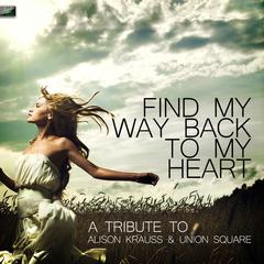 Find My Way Back to My Heart