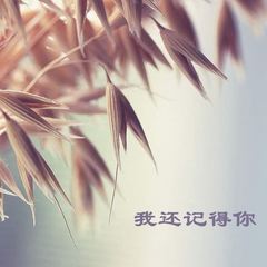 是否还是我