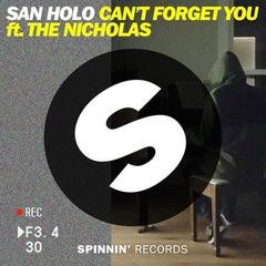 Can’t Forget You (feat. The Nicholas)
