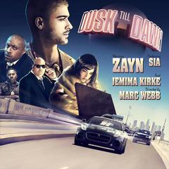 Dusk Till Dawn(Radio Edit)