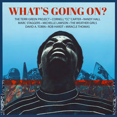 What’s Going On - Featuring Chuck D(Mangini/Pop Rox Mix)