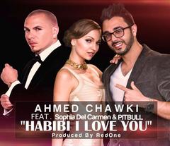 Habibi I love you