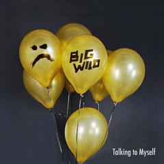 Talking to Myself(Big Wild Remix)