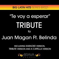 Te Voy a Esperar(Tribute Version)(Originally Performed By Juan Magan And Belinda)