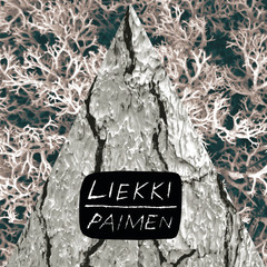 Luudanvarsi(Album Version)