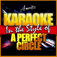 Imagine (In the Style of A Perfect Circle)(Karaoke Version)