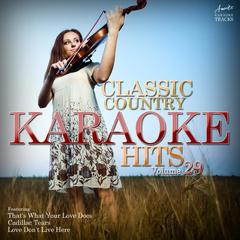 Take Me (In the Style of Lari White)(Karaoke Version)