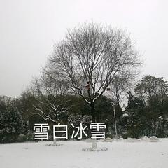 雪白冰雪