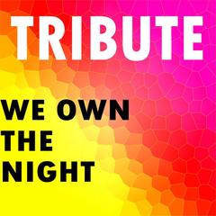 We Own the Night