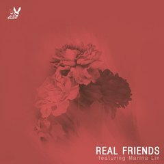 Real Friends(Guitar Acoustic)