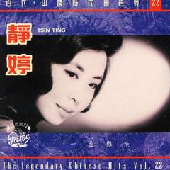 许我向你看(Album Version)