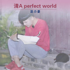 清A Perfect World