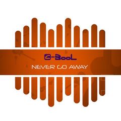 Never Go Away(Groovefore & neeVald Radio Edit)