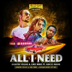 All I Need(DVLM X Bassjackers VIP MIX)