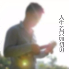 人生若只如初见