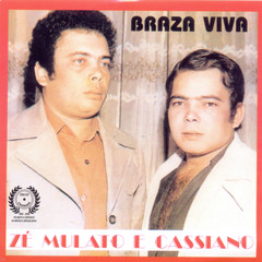 Brasa Viva