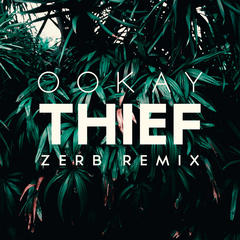 Thief(Zerb Remix)