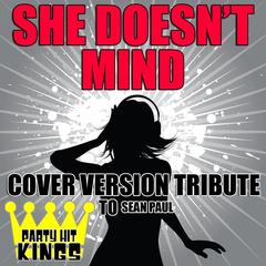 She Doesn’t Mind (Cover Version Tribute)