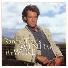 Wind In The Wire(Album Version)