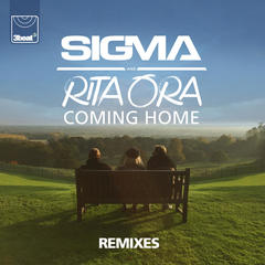 Coming Home(Danny Howard Dub Remix)