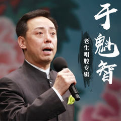 《四郎探母》 杨延辉 弟兄们离别十五春